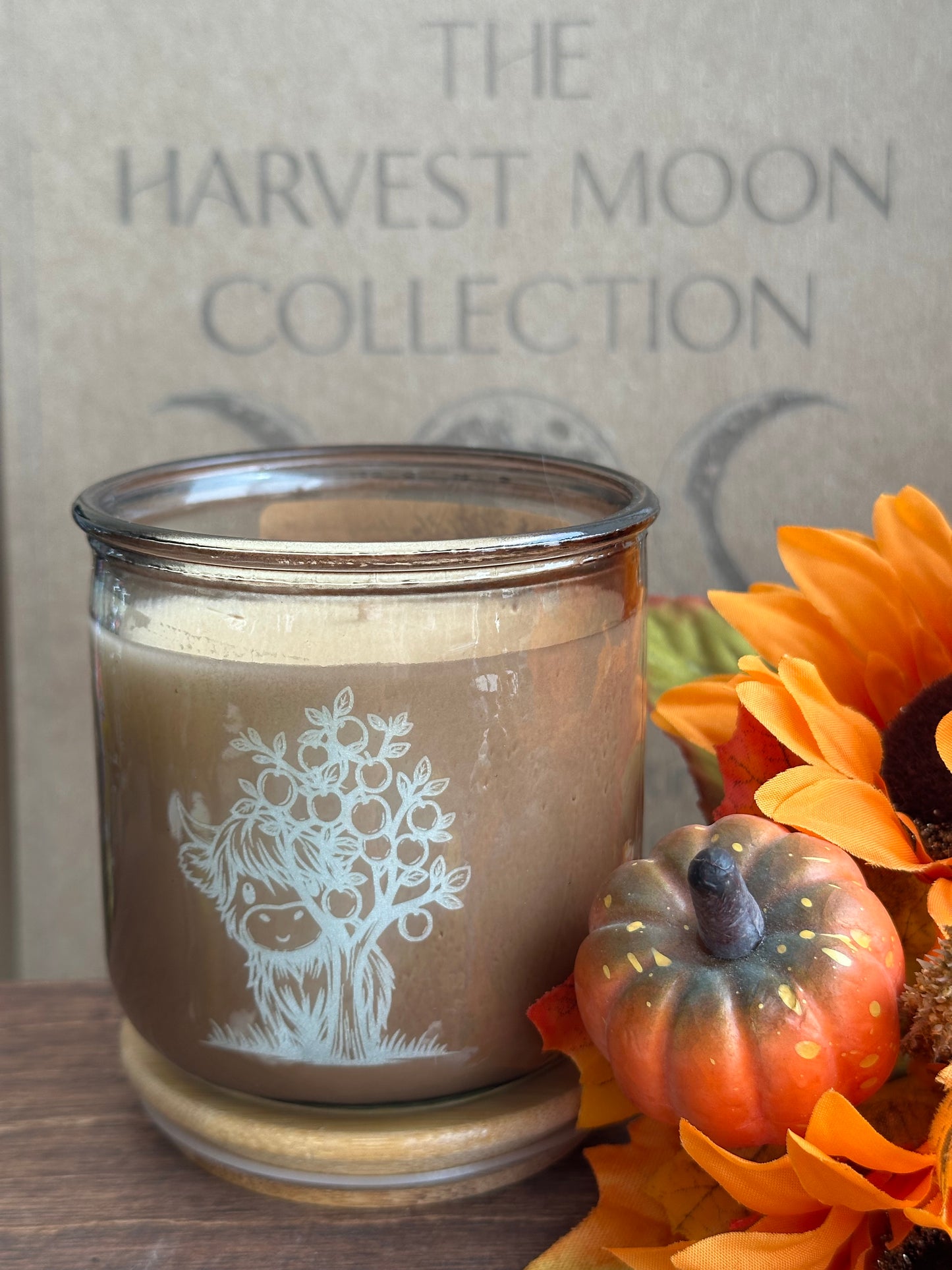 Soy candle with laser etched highland cow with apple tree