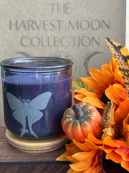 Candle with butterfly design on a decorative arrangement of flowers and pumpkins, labeled 'Harvest Moon Collection'.